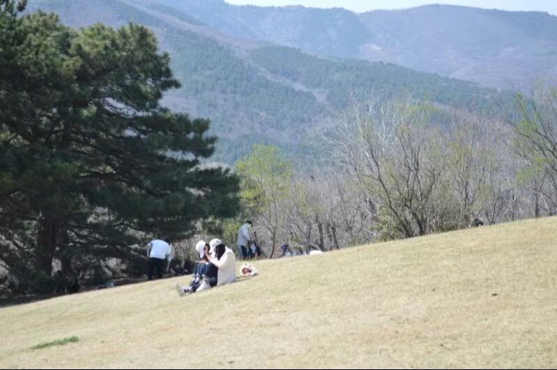 一起去春游……#户外 #享受当下  #治愈系风景 #春天 #慢下来看世界