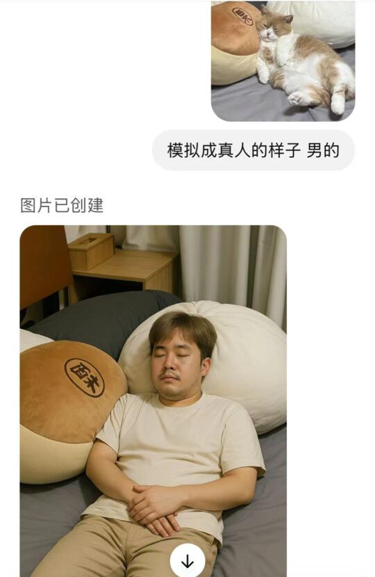原来这就是我辛辛苦苦养的猫
