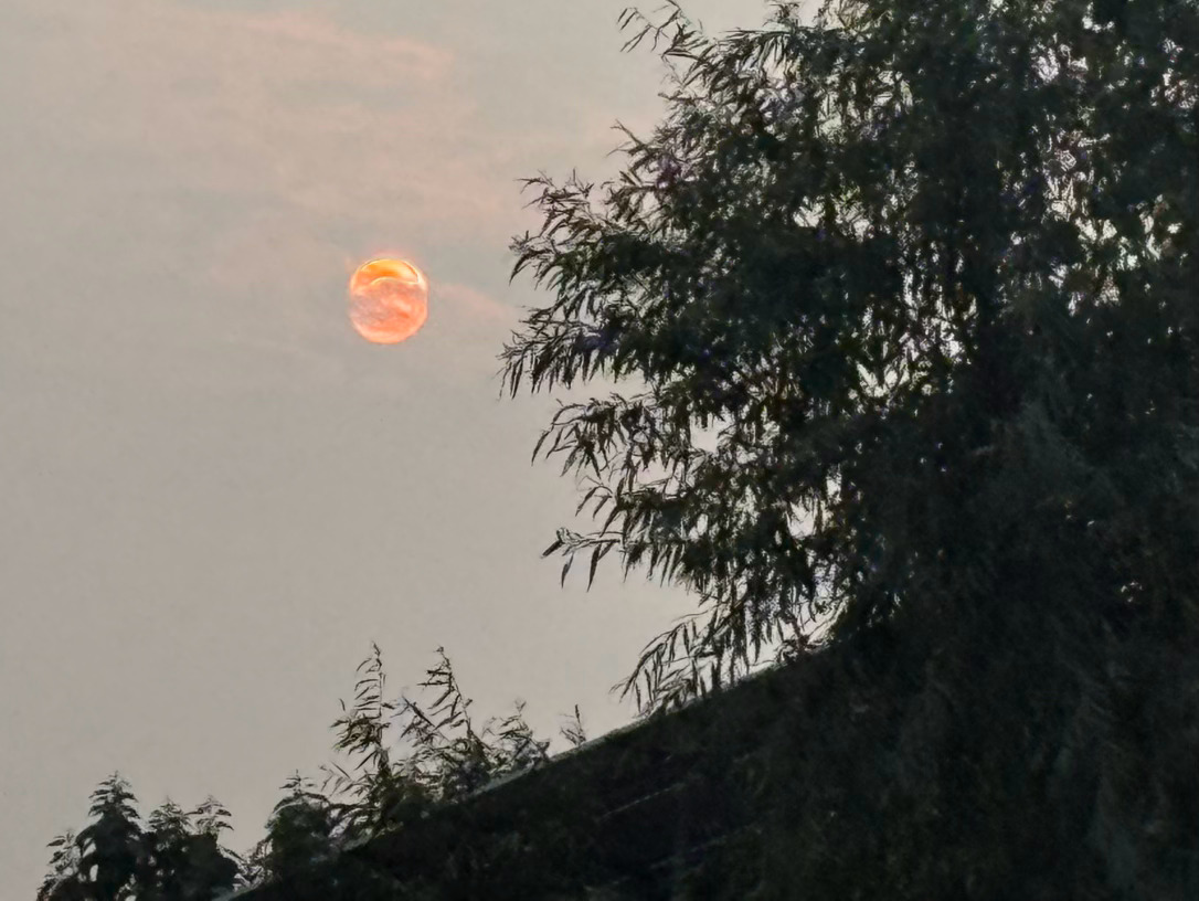 太阳 ​​​