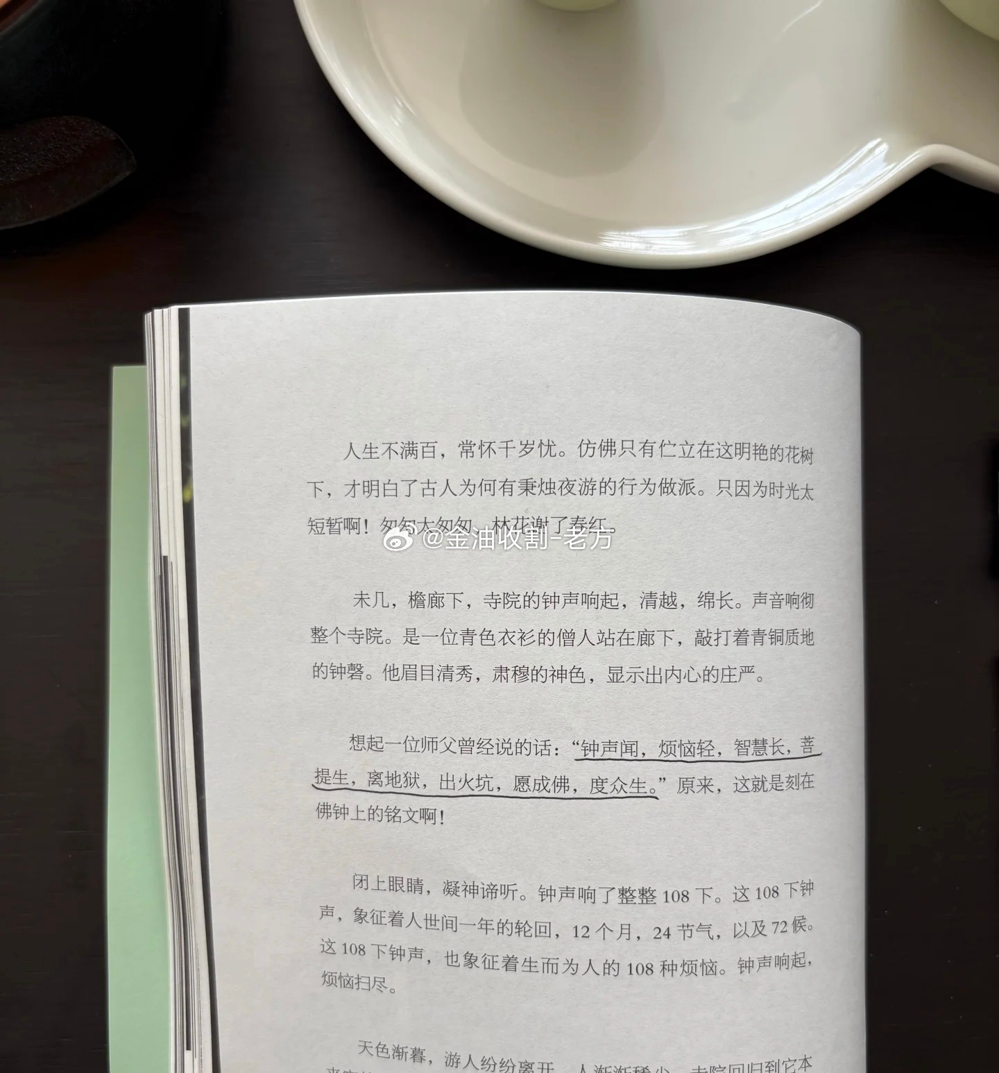 言慢者贵 性柔者富 德厚者旺言慢，是给自己留思考的余地性柔，是给关系留呼吸的空间
