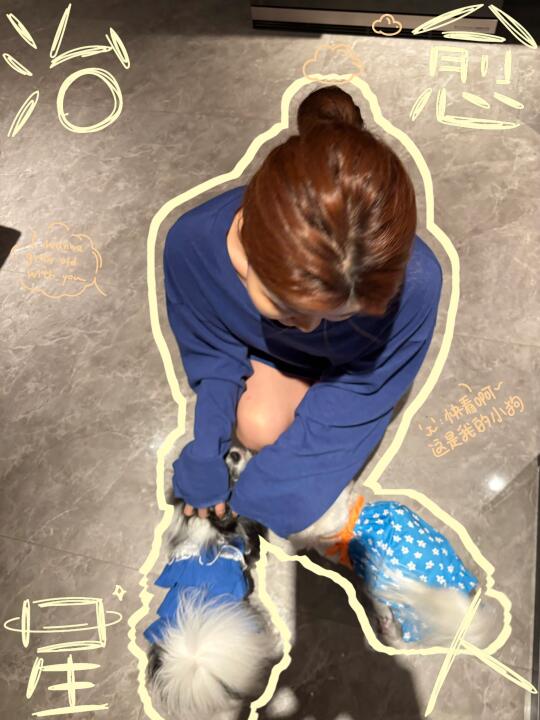 假期余额为0️⃣…携犬子祝大家:💰来财～来～