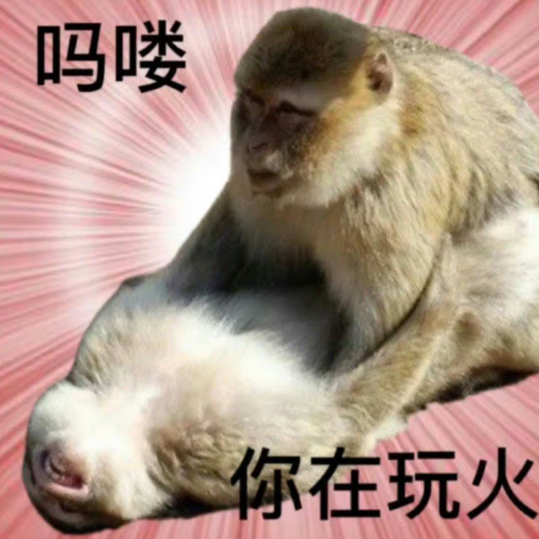 网友给我发了好多妈喽表情包，说是点给老板的。我替老板谢谢大家，虽然你们和他素昧平
