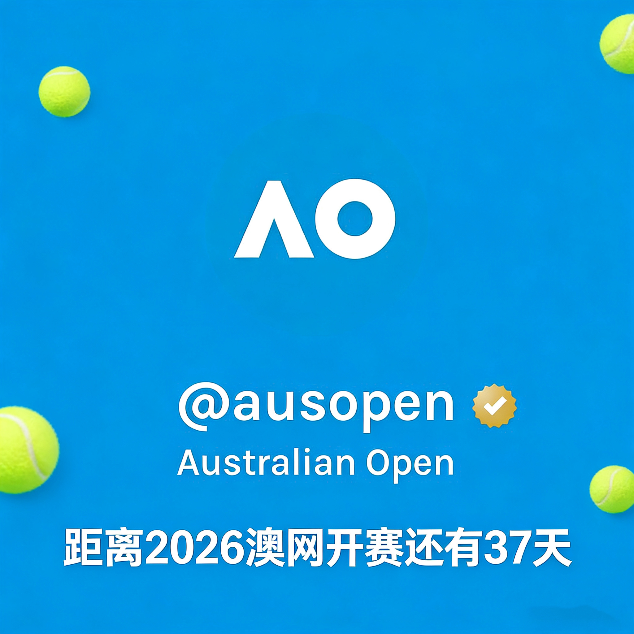 从今天开始撕日历📆澳网2026