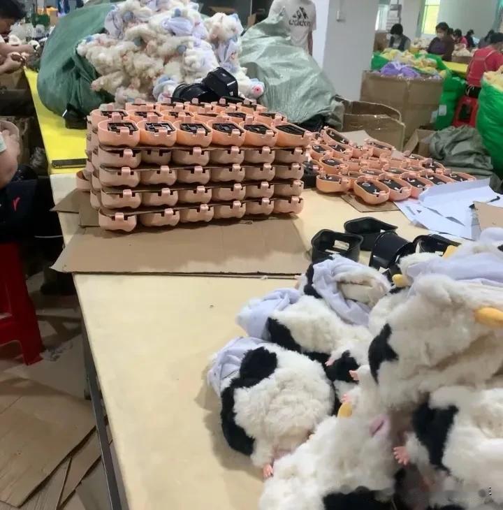 我同事的姐姐前不久出了车祸，脑部受了严重伤害。医说，就是能活着也只能像植物一样。