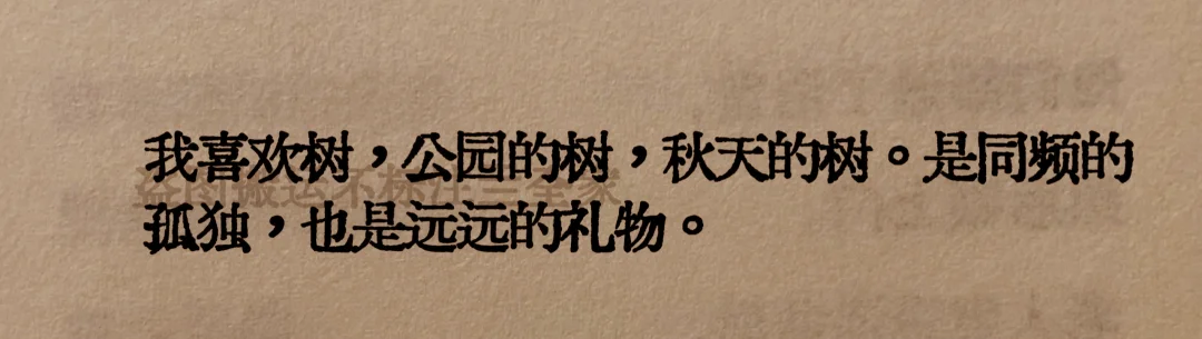 “卧槽，我真是太太太爱这个了”