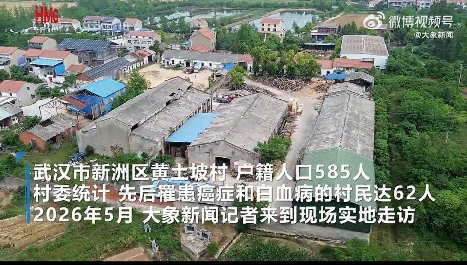 武汉一处村落仅有585名村民，已有62人患上癌症与白血病，患者多为青壮年，不少人