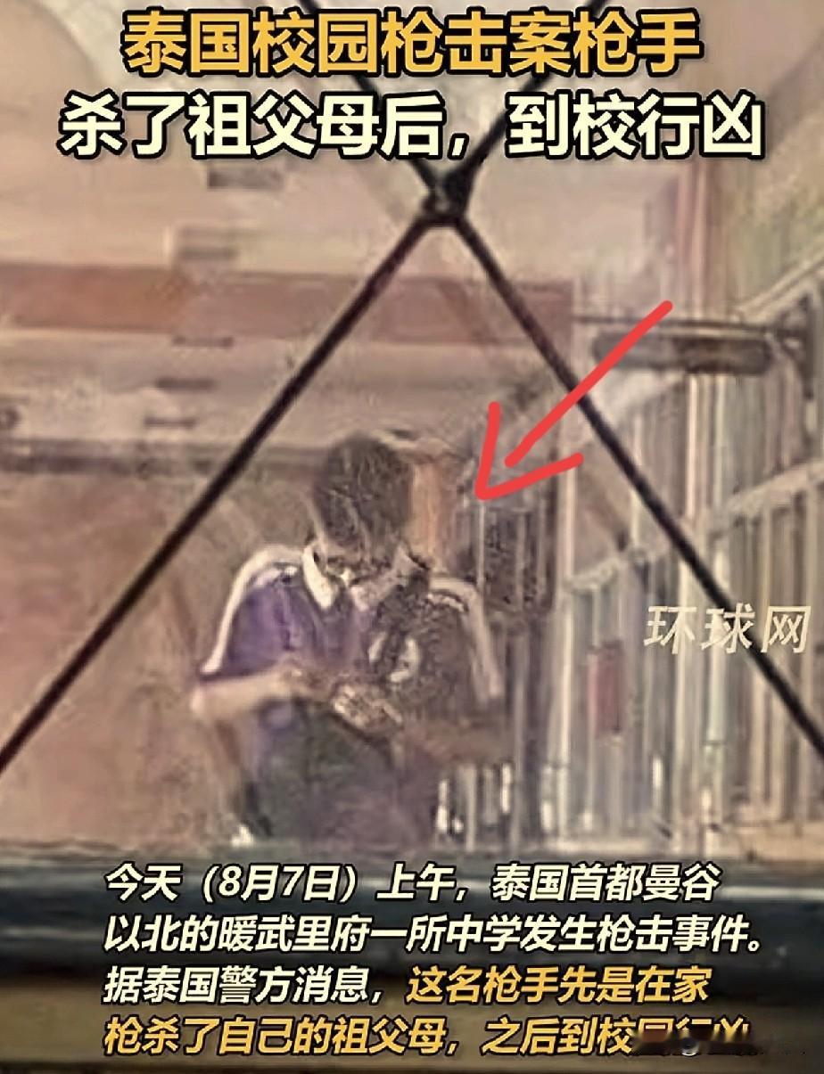 泰国中学枪击案，让泰国总理阿努廷十分生气！

这名枪手是个初中生，刚在家里枪击了