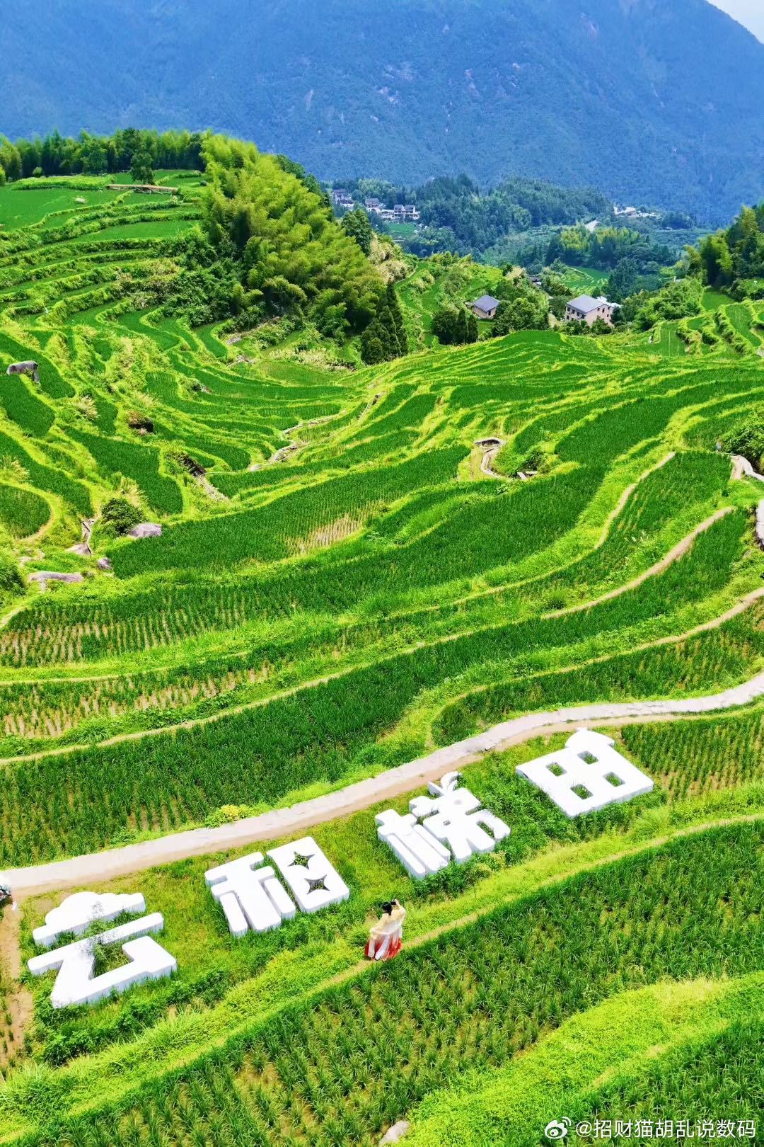 云和梯田！江南秘境的日出云海太治愈啦被《国家地理》评为江南最后的秘境🌿，丽水云