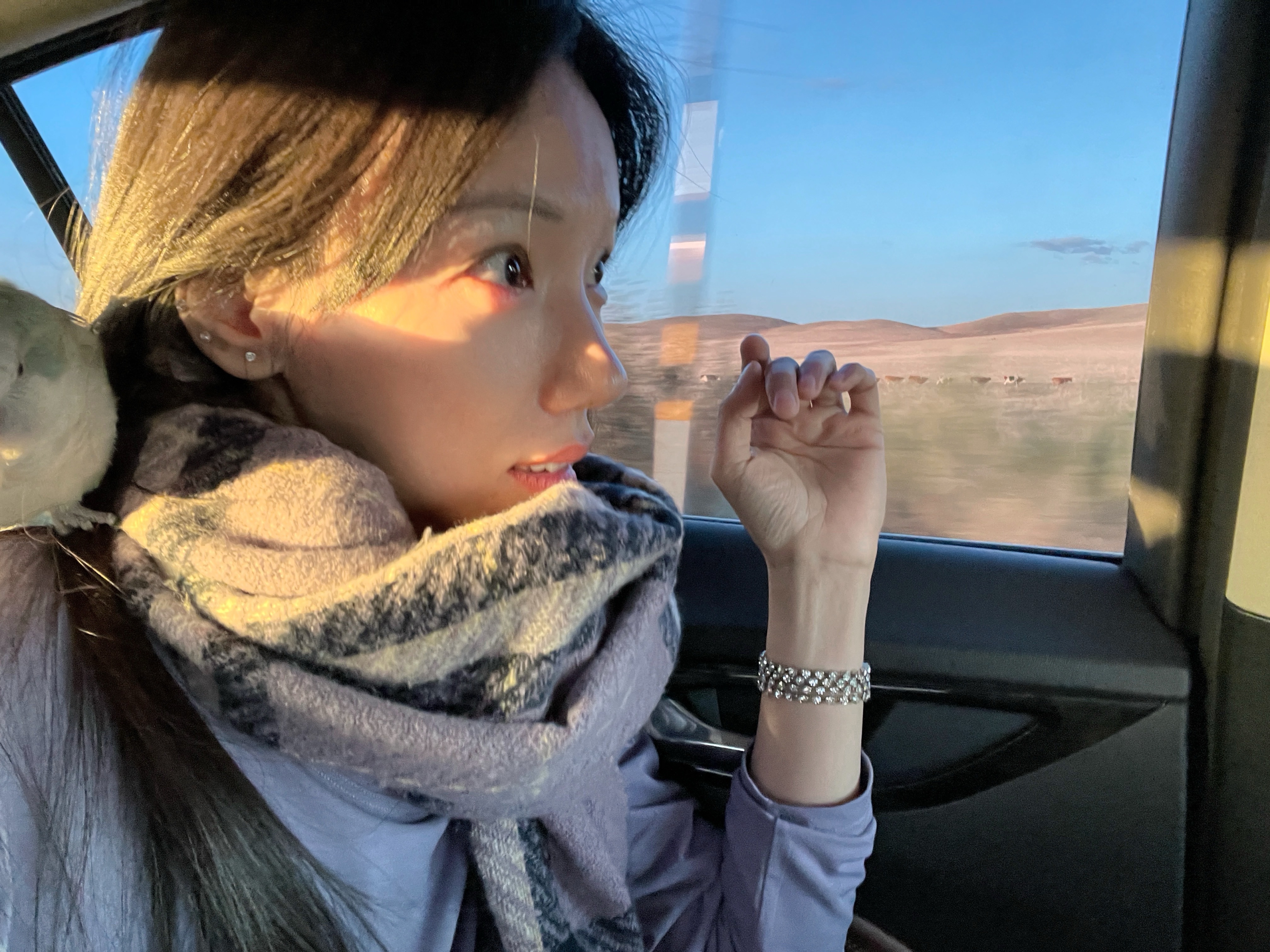 分享图片 