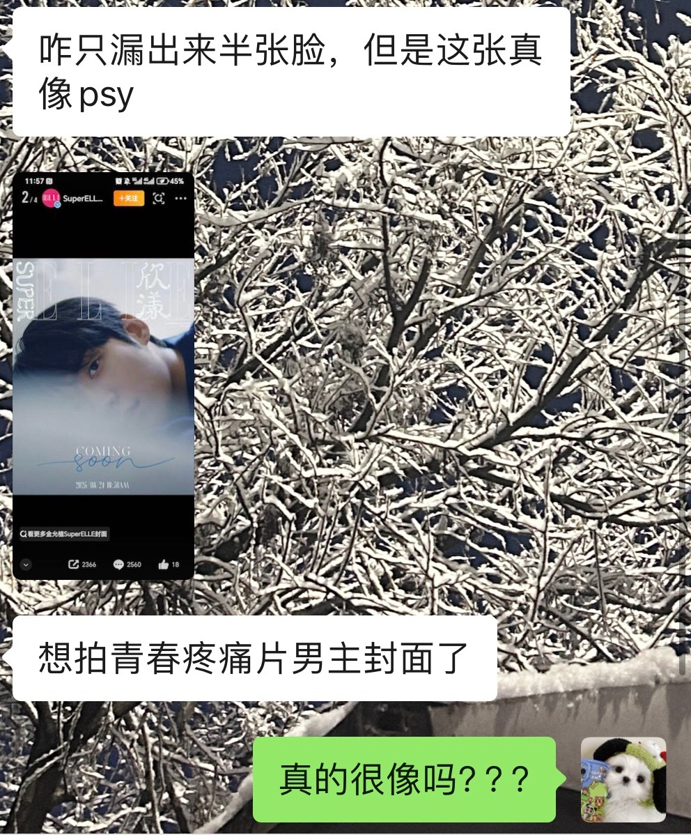 第二次觉得kys像psw