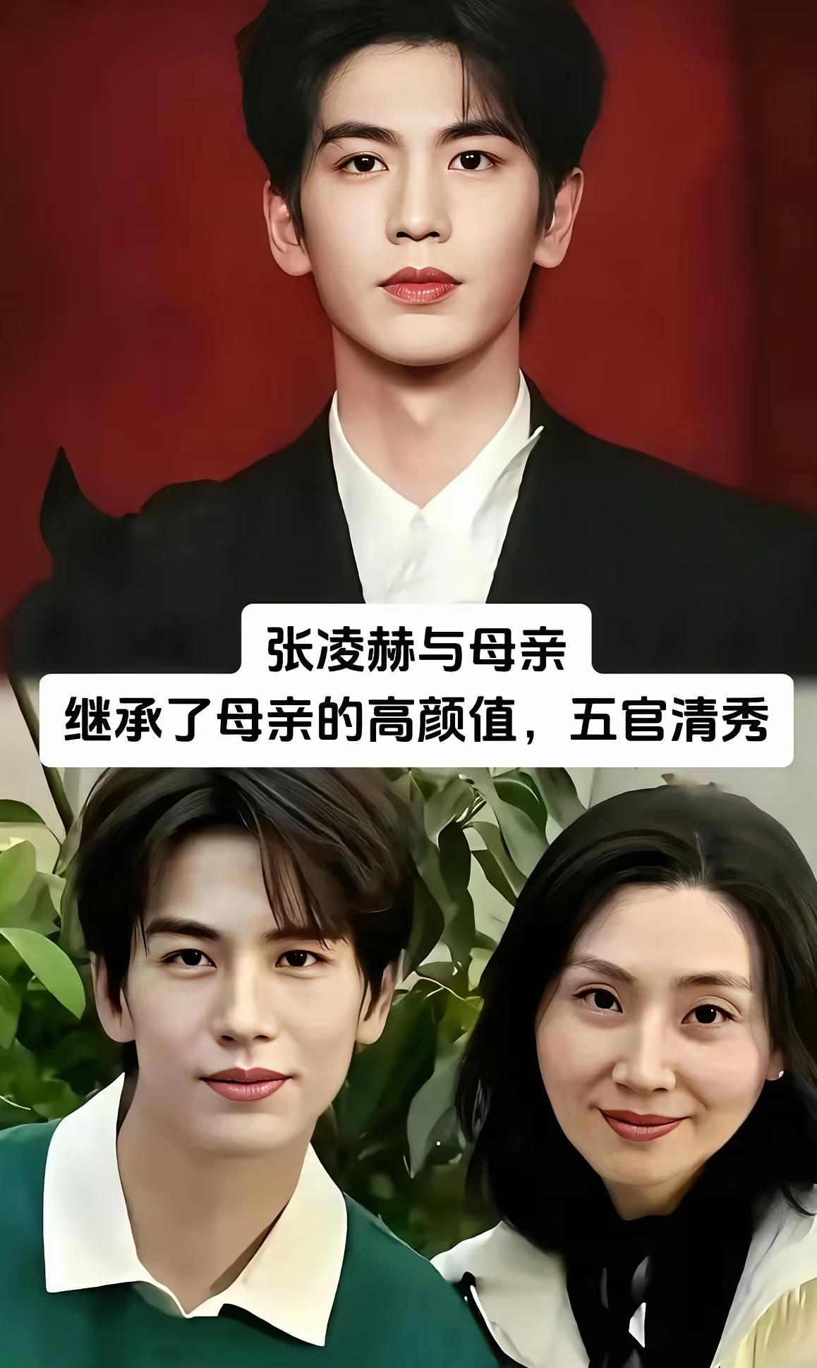 当下人气最高的偶像明星，
张凌赫的热度应该不会维持太久。
靠长相换来的人气终究难