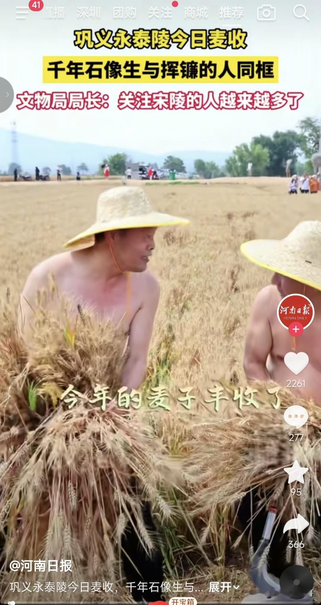 脱了上衣割麦子我还是第一次见，虽然我只是上高中前在家里干过农活，但我依然记得麦芒