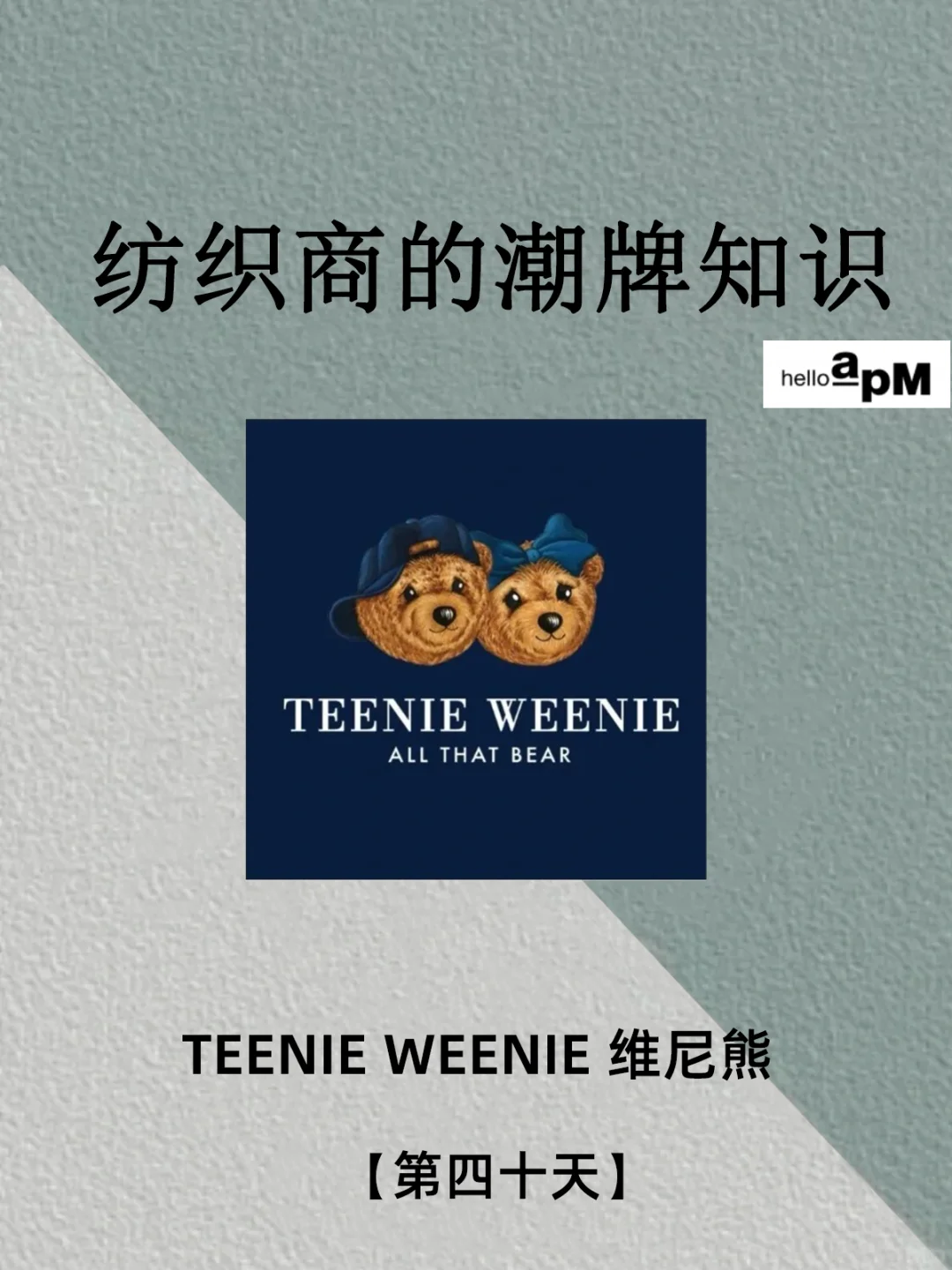 每天认识一个少女潮牌 teenieweenie 维尼熊