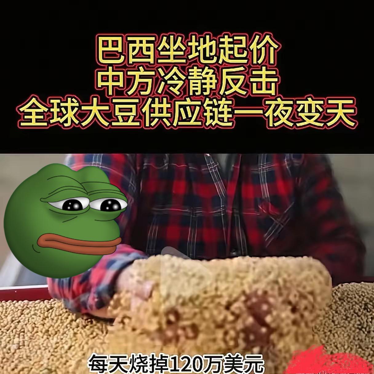 煮熟的鸭子飞了。巴西大豆握着中国70%以上的进口份额，竟趁势坐地起价，最终却眼睁