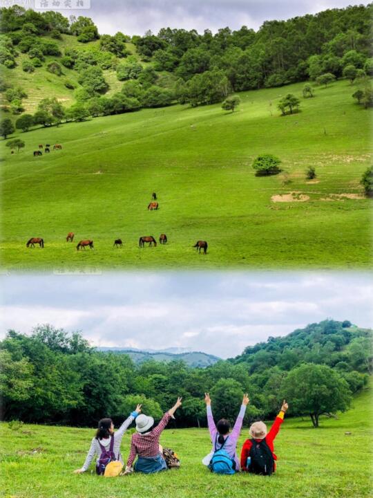 超凉快🍃西安出发3h直达“小天山”！