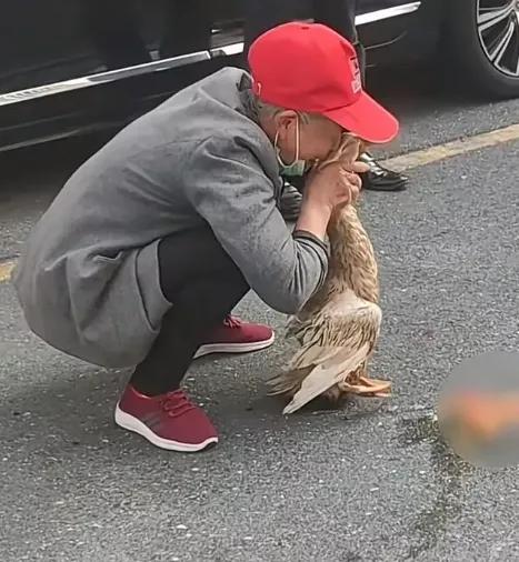 永远不要低估一件东西对一个人内心寄托的重要性，哪怕它是个小动物！

七十多岁的张