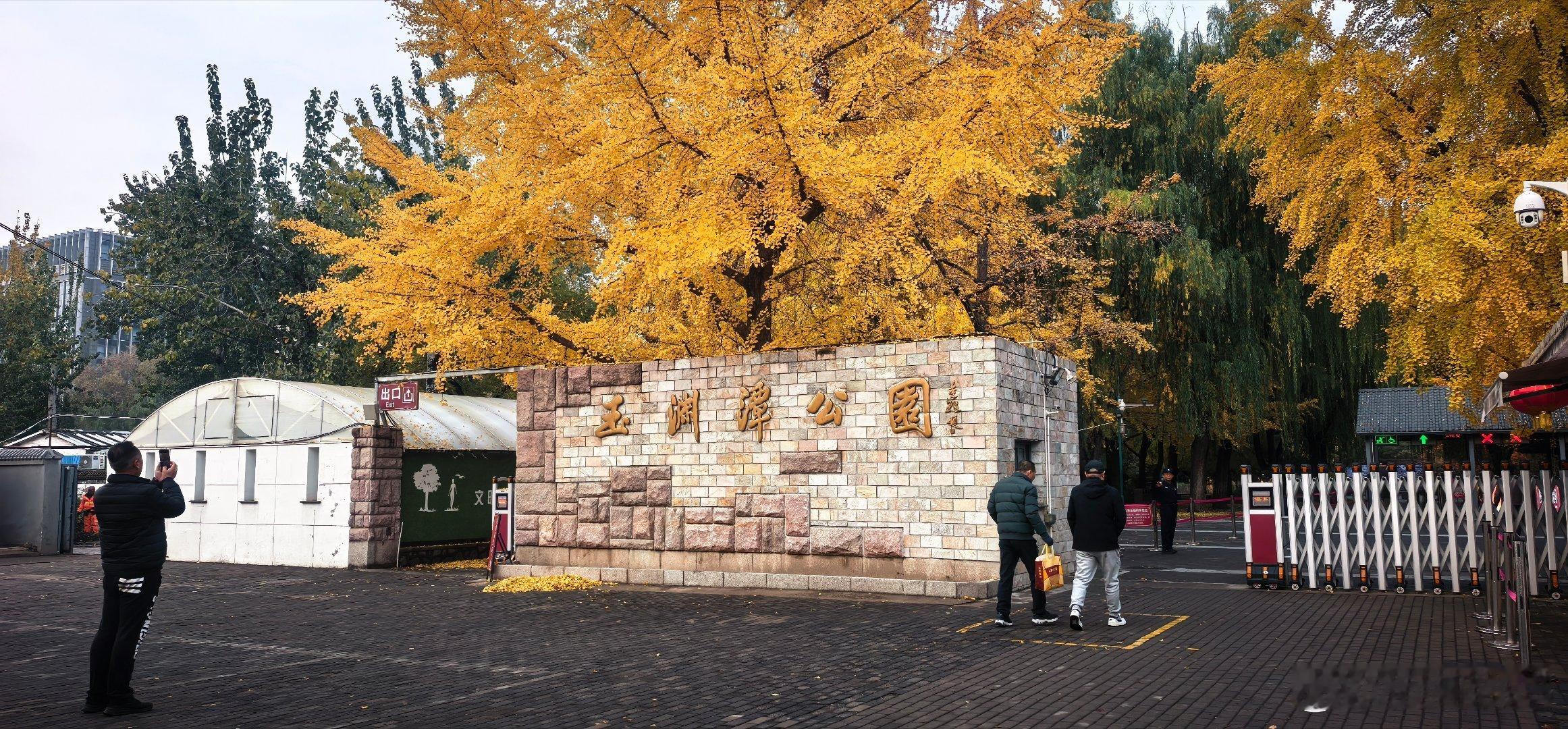 初冬，雨后的玉渊潭公园，五彩斑斓，美不胜收  摄影