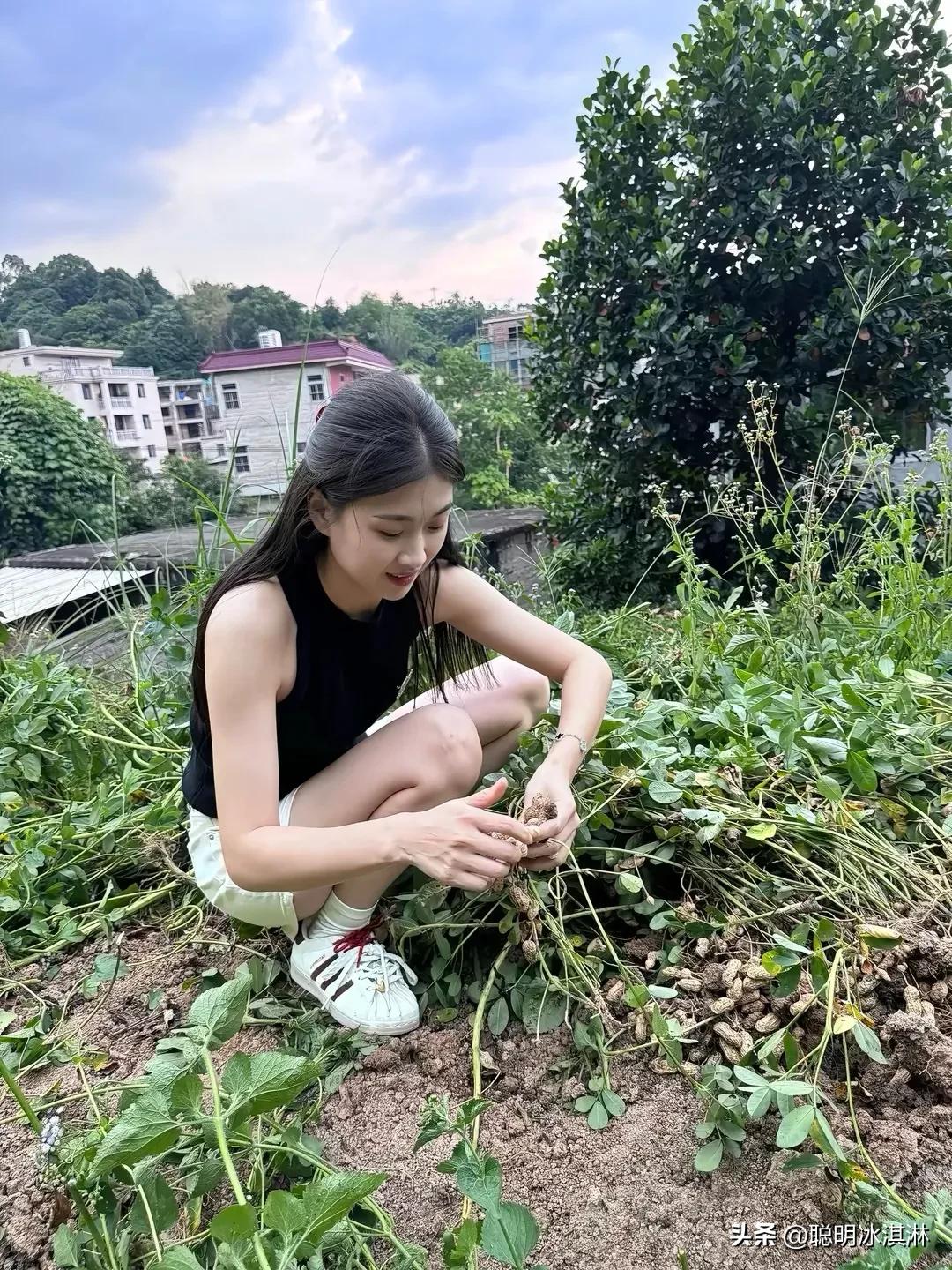爱劳动的女孩  
清晨阳光洒落，
她已开始忙碌。  
擦窗、洗衣、整理房间，
劳