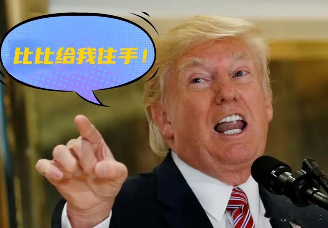 应特朗普请求，以色列将暂停对伊朗的打击。