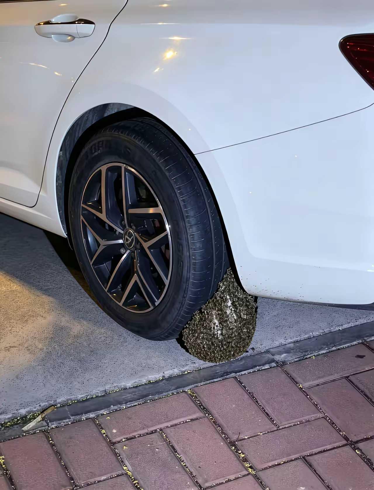 没人告诉我这不让停啊！