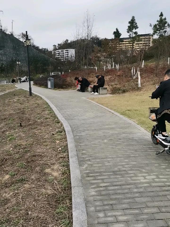 遍地都是手机党
公园里，河边上，凉亭里…
男女老少，人手一部手机，刷视频的，看抖