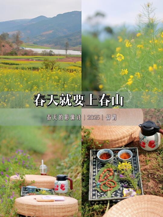 春天就要上春山｜陌上花开，可见蝴蝶蹁跹～