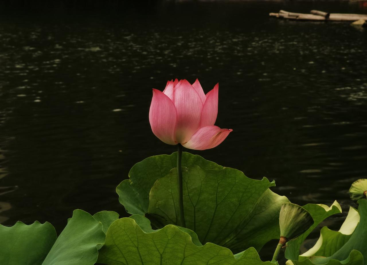 【热评】舆论施压司法损害法律权威
男子被警方扣押1000万无罪后申诉返还

“男