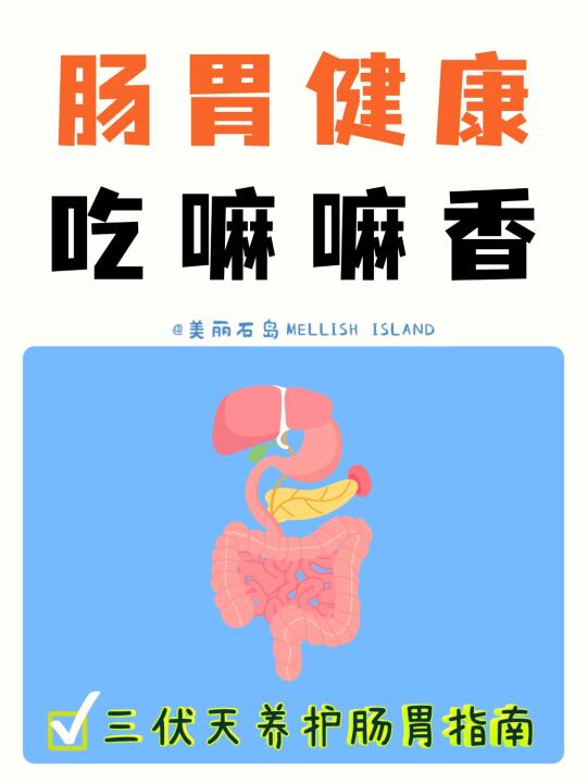 伏天到，肠胃闹！肠胃健康，吃嘛嘛香