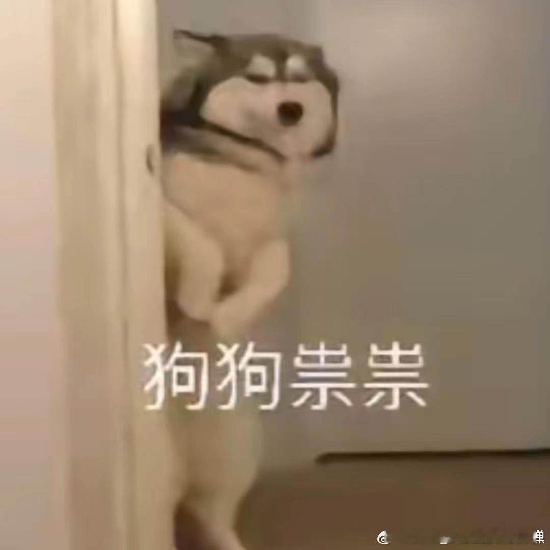 #胡先煦cos狗狗祟祟##胡先煦变脏小孩# ​​​ 哈哈，胡先煦变成脏小孩啦，这