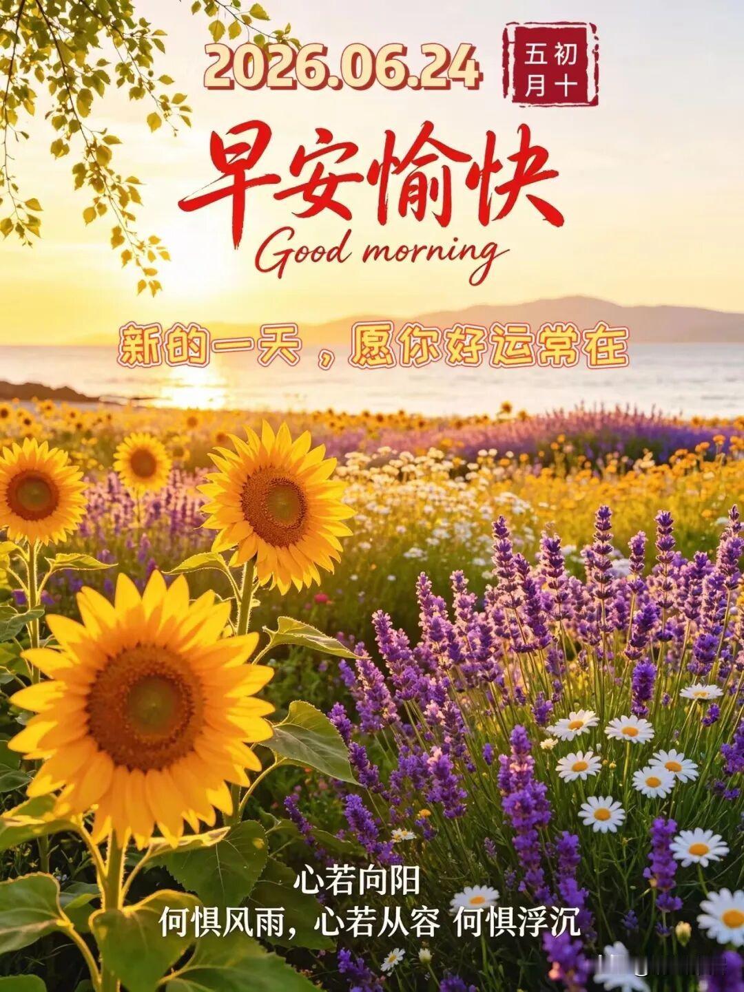 我曾经学习网上教程，进行了清理，但是深层次问题依旧存在，这是很苦恼的事情。