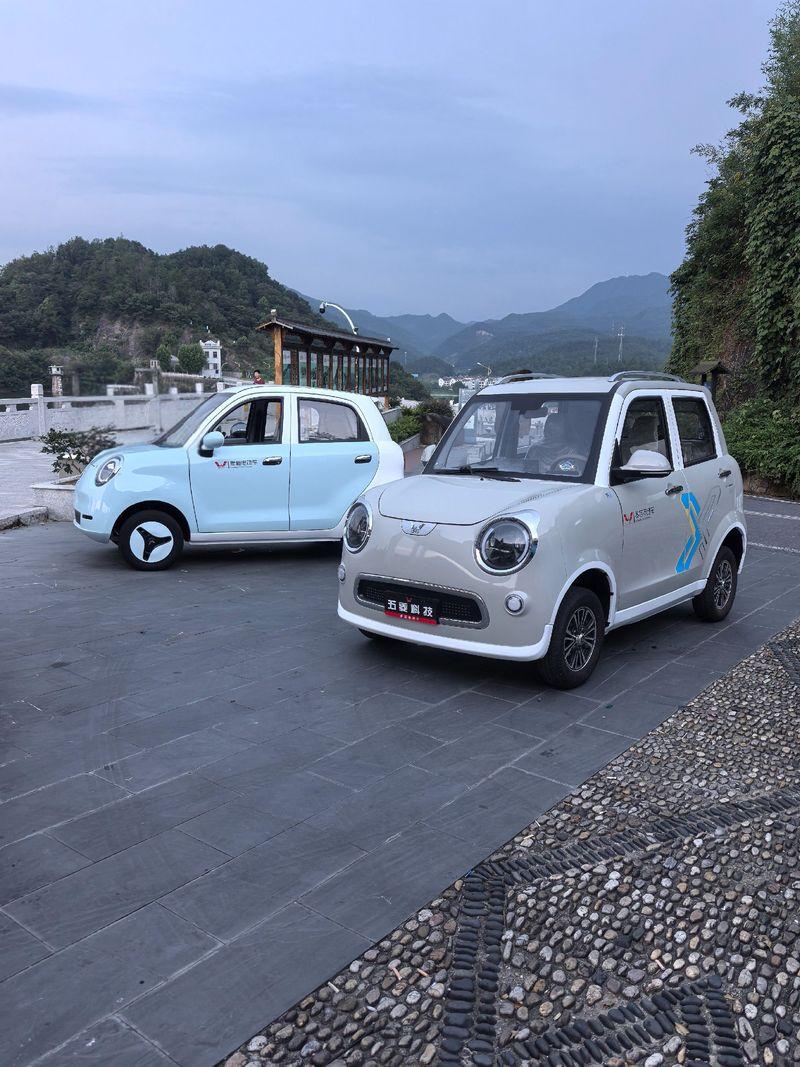 新的电动车要取代旧的代步车，真假？
信息资料显示：不会全面取代，而是长期共存、互