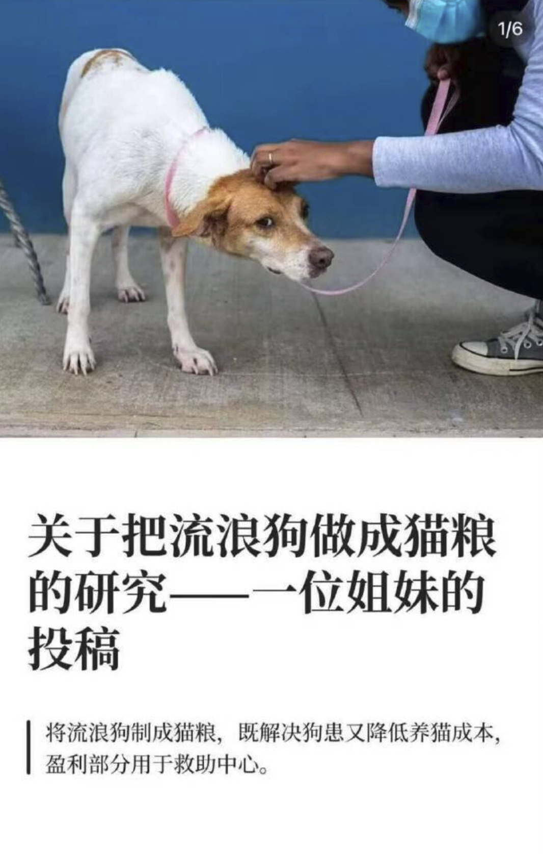 什么地狱建议。。。 