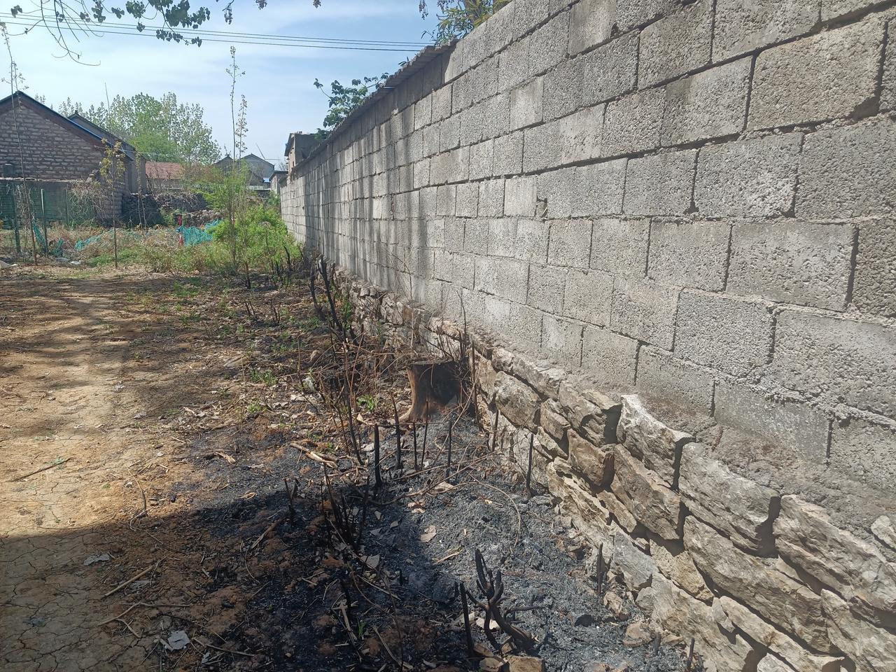 难忘乡音！
清明又回老村庄，偶遇大爷和大娘。儿时玩伴少许见，生活拼搏在他乡。
蹍