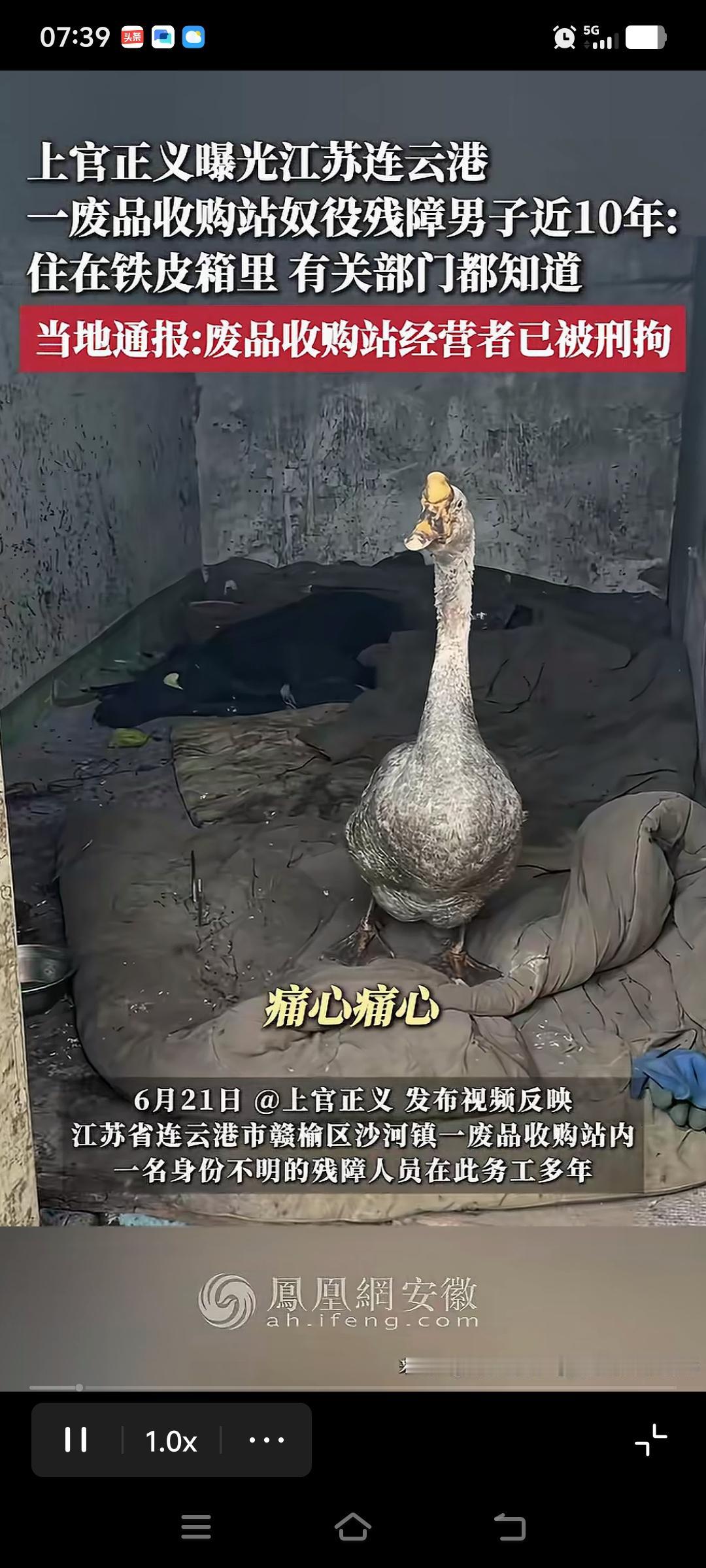和牲畜同住铁皮屋[泣不成声]。
都2026年了，真的很难想象，还有“奴役”残障人