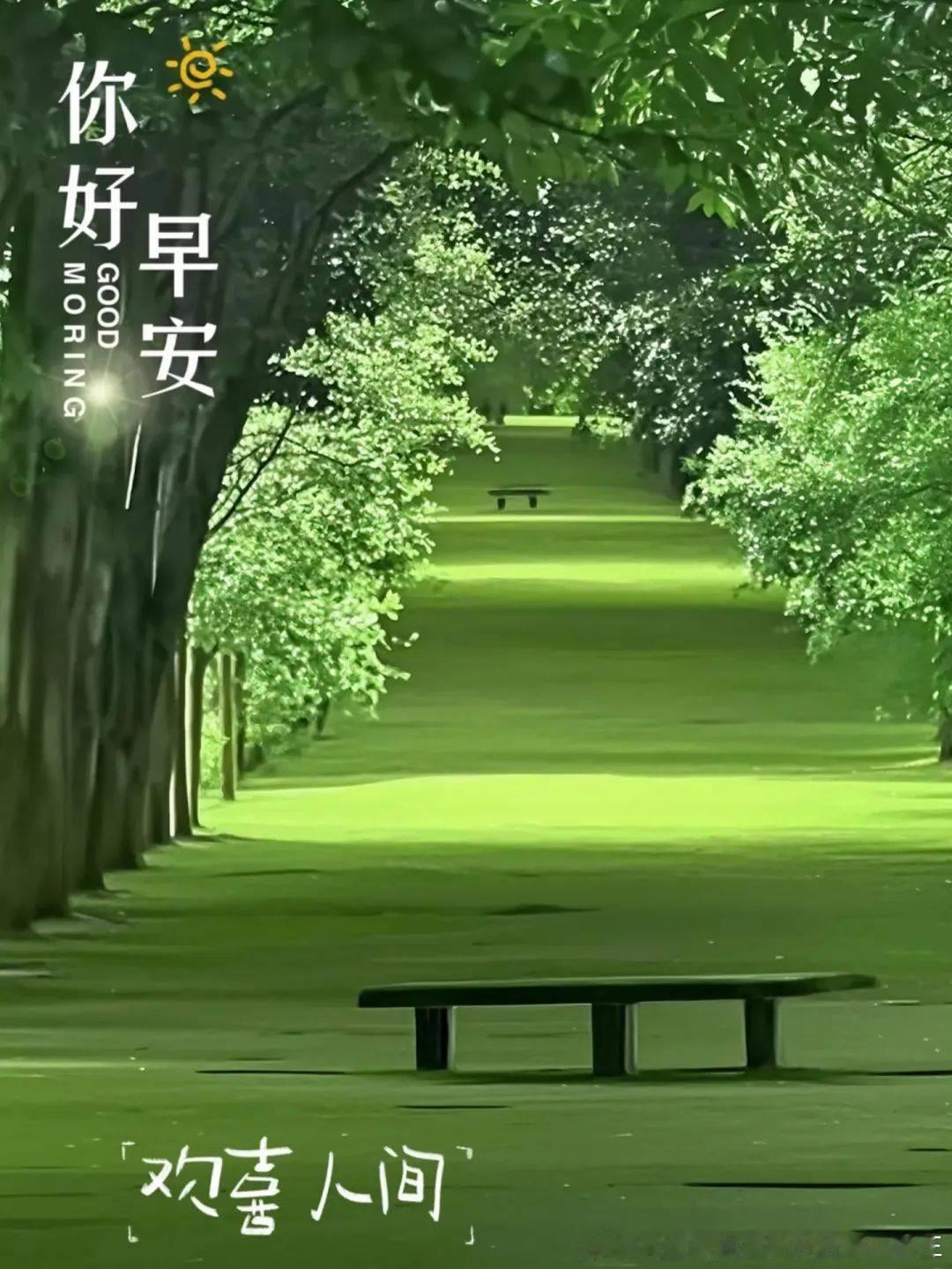 周二，早！！外汇高级金融分析师老王