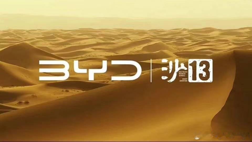 这个13就不能大写一下嘛？[二哈] ​​​