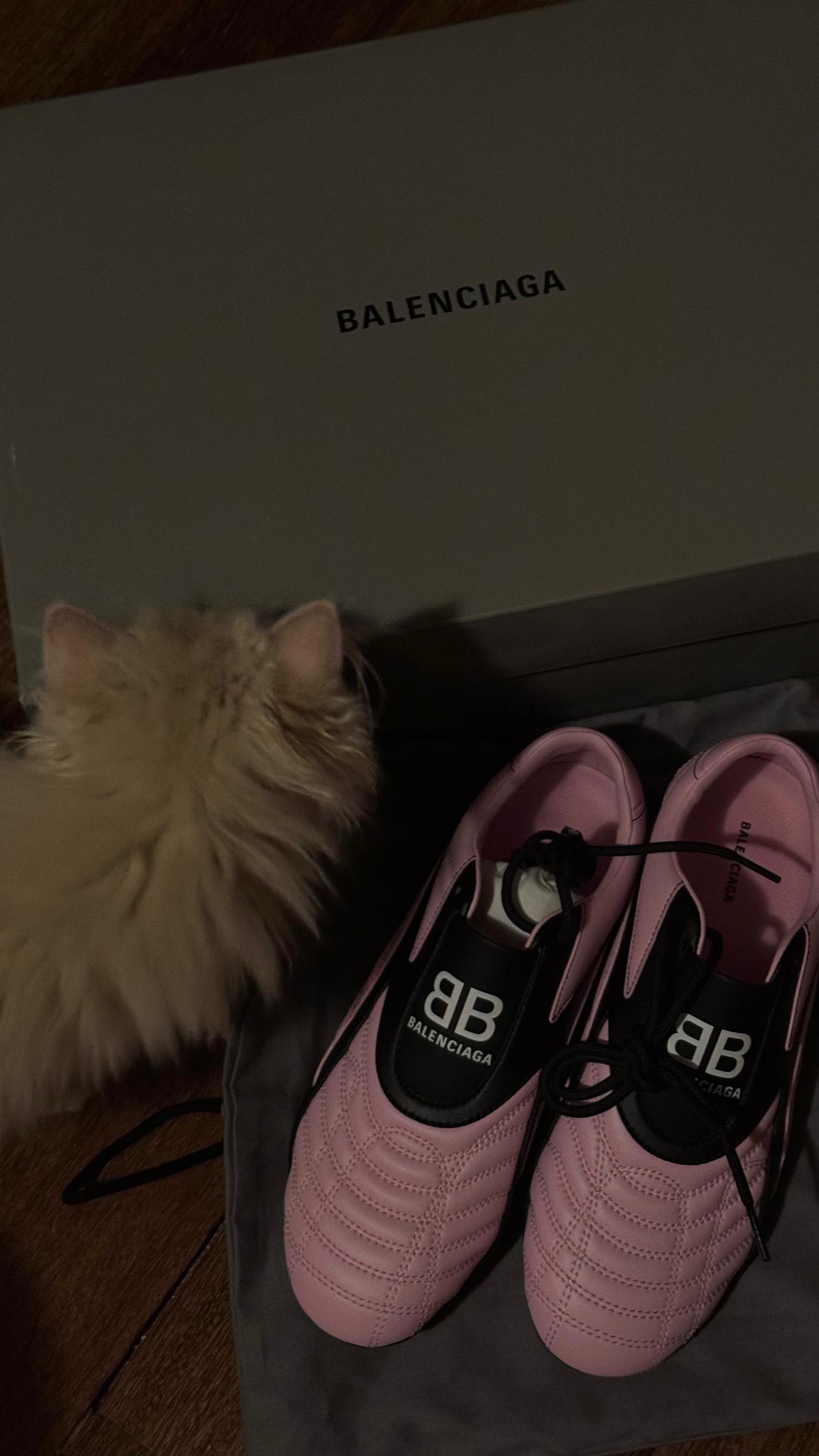 肉饼子是一只有眼光的小猫 ​​​