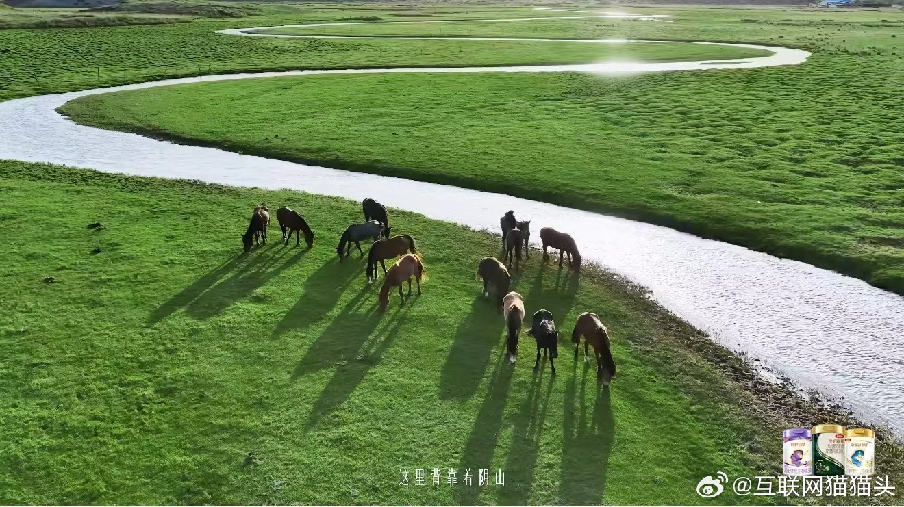 鲜活的敕勒川长久生活在敕勒川的长者，熟悉草原的四季与万物，随口闲谈都藏着独到的眼