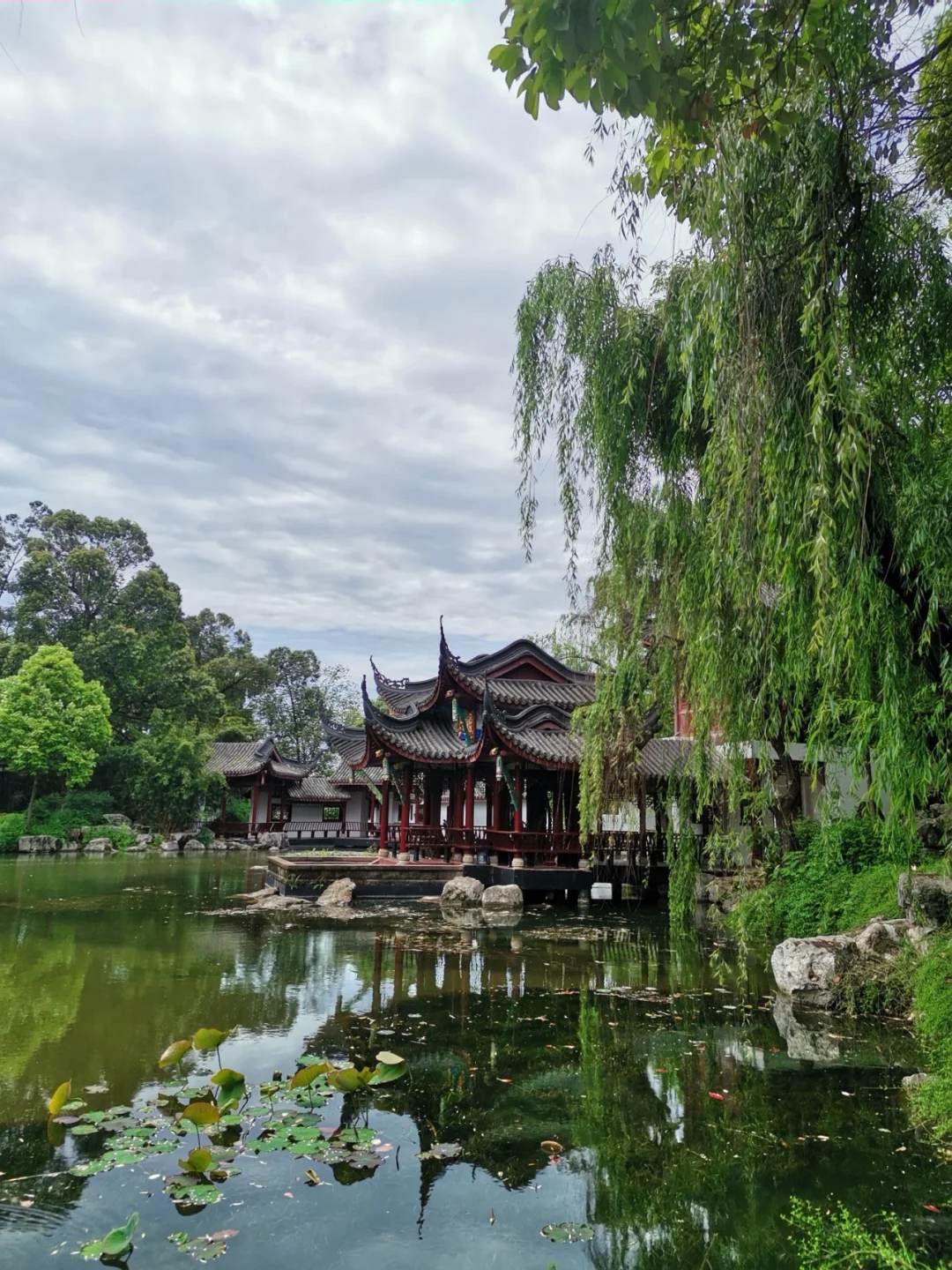 晚上好