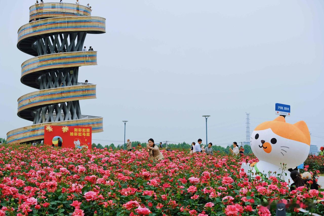 五一小长假，瑶海青年创意田园欢迎大家来打卡～ ​​​
五一拍照去处 瑶海创意园区
