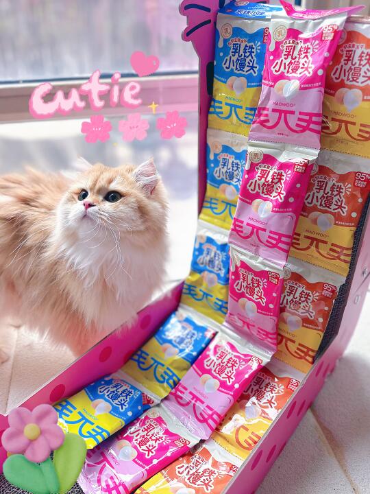 猫猫们也有旺仔小馒头