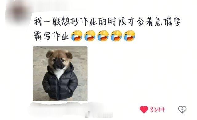 还是这句话