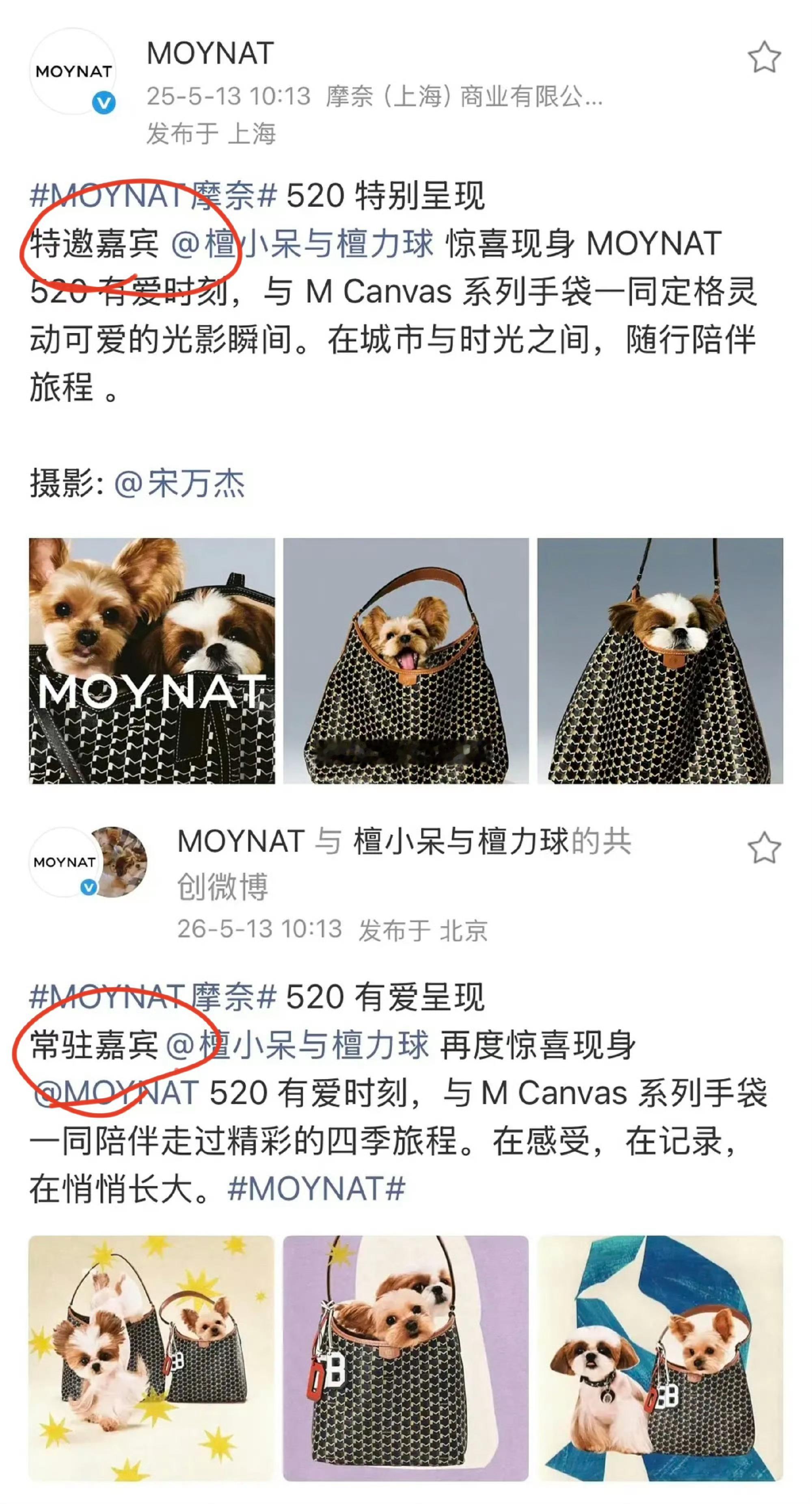 才发现呆球升抬头了 