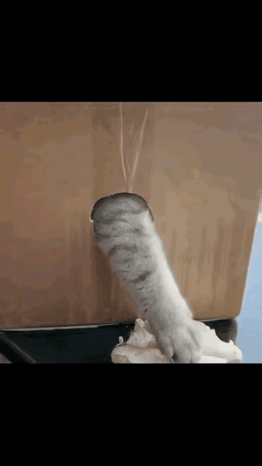 人的智慧往往是动物想不到的呦！