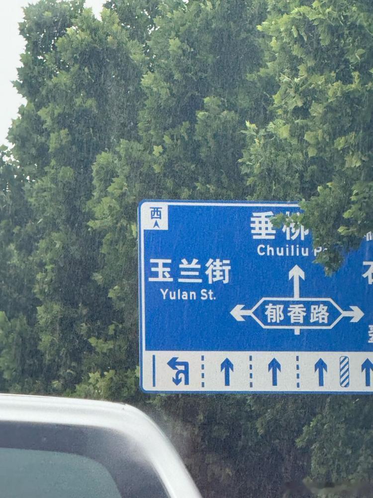 我在玉兰街为幂神祈福