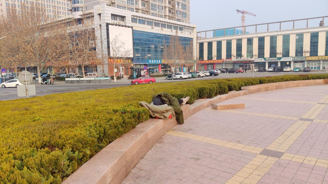 淄博张店区老火车站北广场，每天绿化带花池边上都有流浪汉冬天喝醉了，就地躺平…淄博