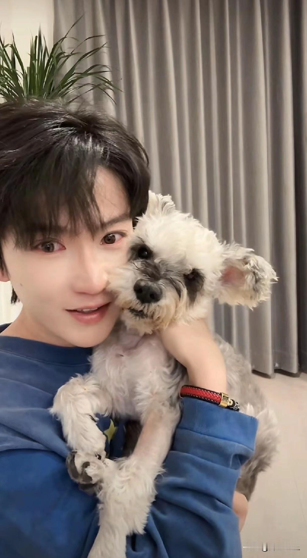 湛蓝团队肖肖发文含泪挥别了陪伴他很多个日日夜夜的狗狗，称会永远爱它小宝。原来狗狗