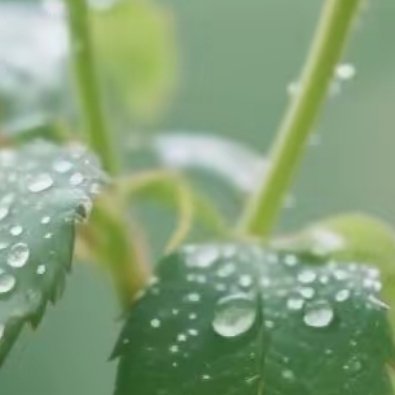 每日一善 当你把希望放在别人身上时你会选择等待；当你把希望放在自己身上时你会选择