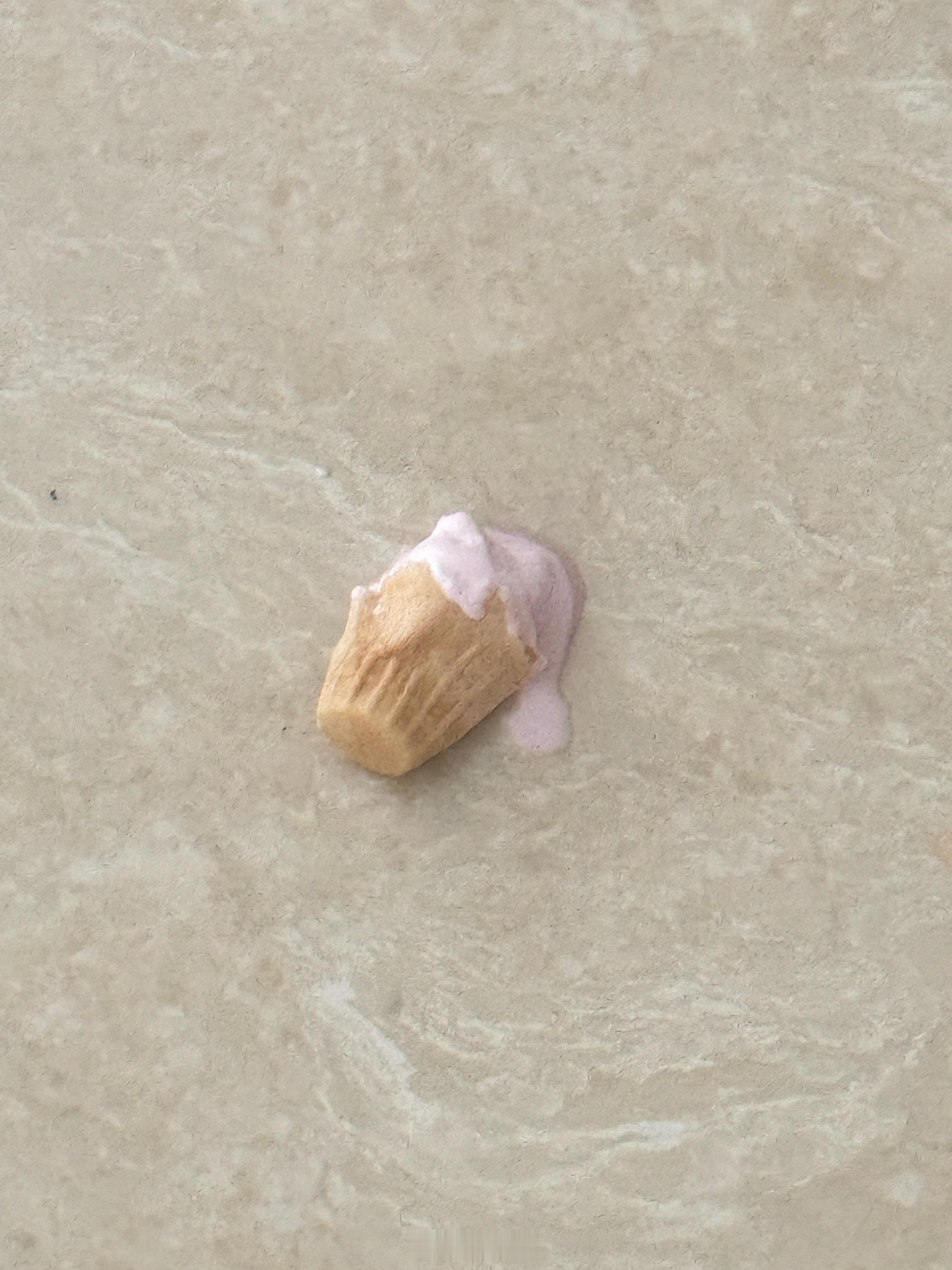 冰箱里的最后一个草莓冰激凌掉地上了，球从早饭就开始期待的饭后甜点。球大崩特崩现在