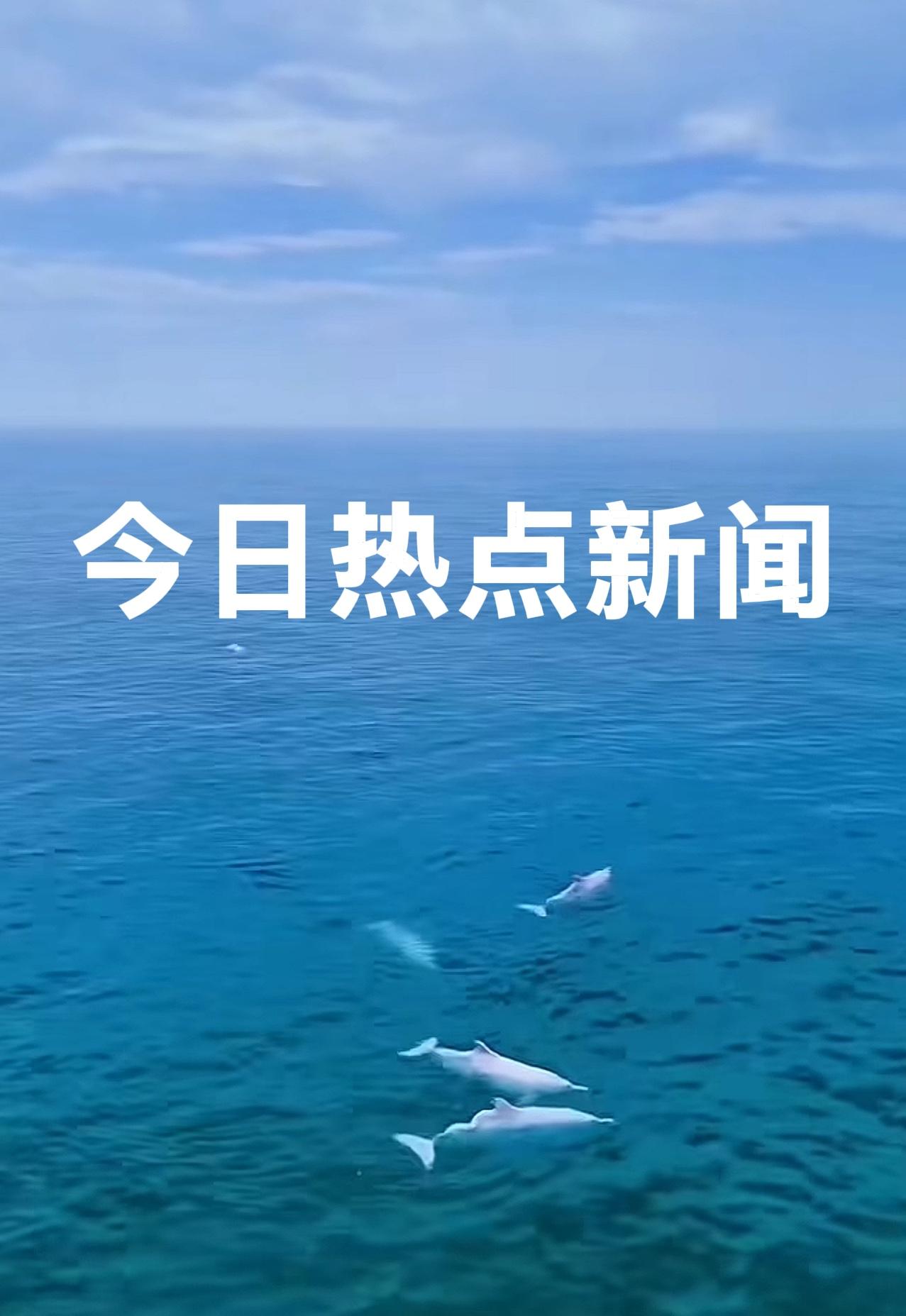 今天是2026年2月21日   初五
今日热点新闻：

1、中国自由式滑雪选手王